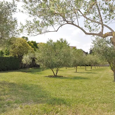 Domaine Le Bourdet *