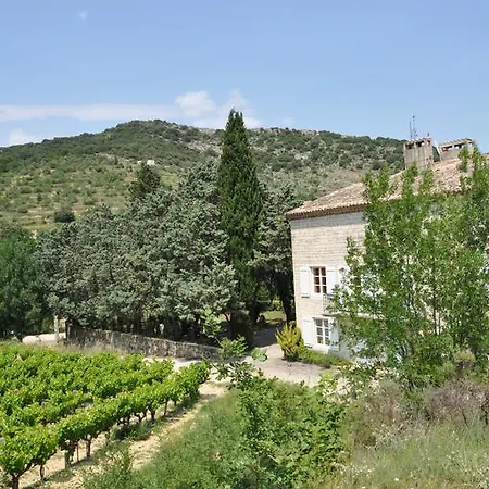 Holiday home Domaine Le Bourdet Saint-Sauveur-de-Cruzieres